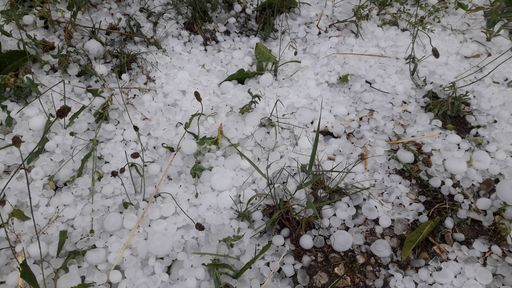 Vorschau Bild von Hagel in Steinerkirchen