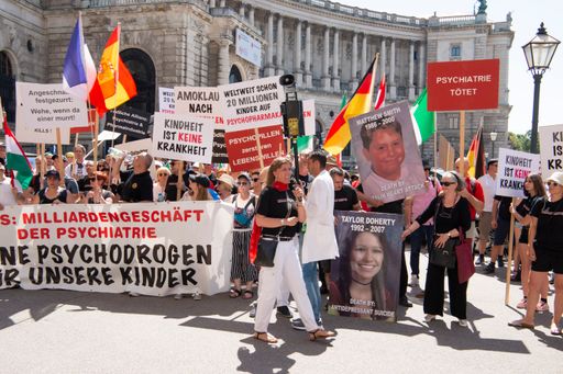 Vorschau Bild von Kundgebung gegen Missbräuche an Kindern in der Psychiatrie ESCAP
Kongress - Hofburg Wien