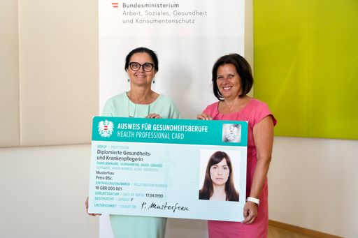 Seit 1. Juli 2018 haben AK und Gesundheit
Österreich GmbH als Behörden in Umsetzung des
Gesundheitsberuferegister-Gesetzes rund 170.000 Beschäftigte in
Gesundheitsberufen registriert und mit einem offiziellen
Berufsausweis ausgestattet.