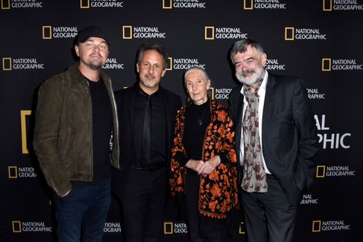 Leonardo DiCaprio, Richard Ladkani, Jane Goodall
and Walter Köhler attend National Geographic Documentary Films' SEA
OF SHADOWS Los Angeles Premiere on July 10, 2019 in Hollywood,
California.