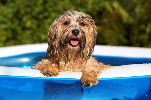 Wer massiv baut und sein Haus dämmt, hat selbst zu
den Hundstagen ein angenehmes Innenraumklima - das ergaben die
Langzeitmessungen im Viva Forschungspark.