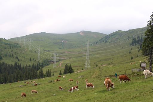Vorschau Bild von In der Glitzmulde soll das obere Speicherbecken
entstehen. Mindestens zwei der Masten müssten für das Becken
versetzt werden.