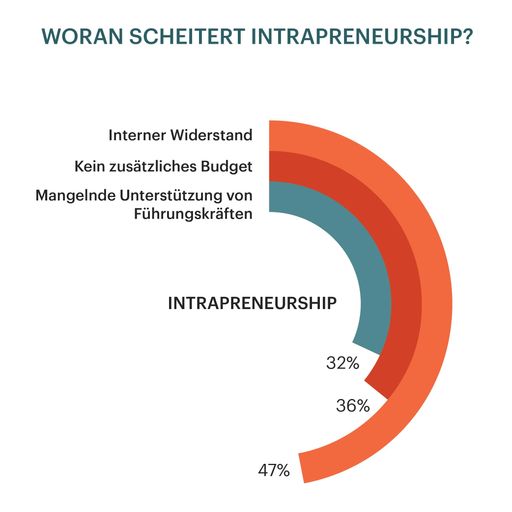 Vorschau Bild von Woran scheitert Intrapreneurship?