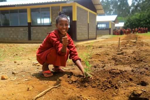 In den Projektregionen von Menschen für Menschen
helfen die Schülerinnen und Schüler tatkräftig beim Aufforsten mit.
Sie haben gelernt, wie wichtig Bäume und Wälder für die Umwelt und
damit für ihre Zukunft sind. Rund 250 Millionen Baumsetzlinge hat
die Hilfsorganisation bereits gemeinsam mit der Bevölkerung in
Äthiopien gepflanzt.