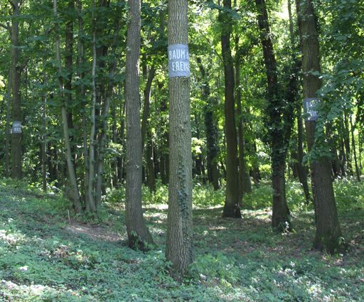 Vorschau Bild von Wald der Ewigkeit in Bisamberg, Klein-Engersdorf