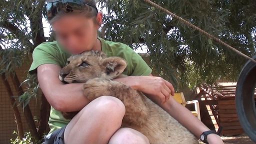  Eine Praktikantin auf einer südafrikanischen
Löwenfarm, die für Touristen als Streichelzoo eingerichtet wurde.
