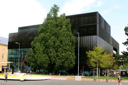 Vorschau Bild von Haus der Musik der IIG, wo sich das Ziel befinden
wird.