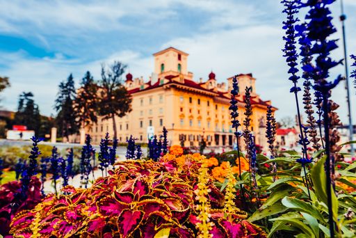 HERBSTGOLD - Festival in und rund um Schloss
Esterházy vom 11. bis 22. September 2020