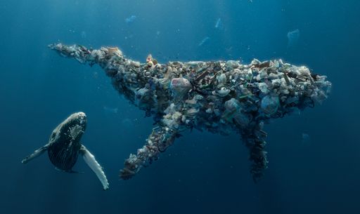 Better Planet Packaging / Die Vision von einem Planeten mit
weniger Plastikmüll / Plastikwal ©Smurfit Kappa / Weiterer Text über
ots und www.presseportal.de/nr/114335 / Die Verwendung dieses Bildes
ist für redaktionelle Zwecke honorarfrei. Veröffentlichung bitte
unter Quellenangabe: "obs/Smurfit Kappa Deutschland GmbH"