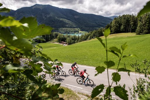 Vorschau Bild von Velontour - Plattform für Genussradfahrer