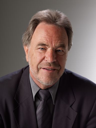 Professor Dr. Ronald Schmid