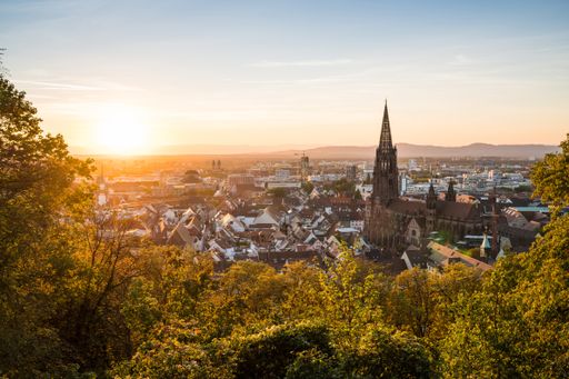 Blick auf Freiburg (Credit: FWTM_Baschi Bender)