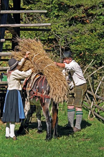 Stübing - Handwerksvorführung: Beladen des
Saumtieres wie anno dazumal