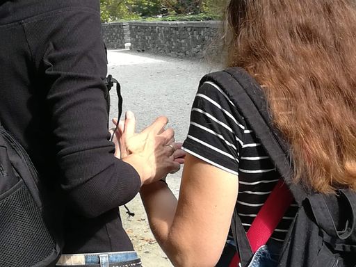 Vorschau Bild von Lormen als Kommunikationsform für Menschen mit
Taubblindheit