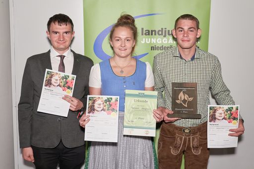Vorschau Bild von Den Teambewerb des Bundeslehrlingswettbewerbs der
Gärtner gewann das Team der Gartenbaufachschule Langenlois