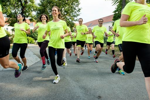  Krebsforschungslauf