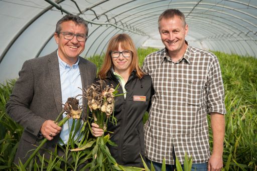 Vorschau Bild von Josef Peck besucht Claudia und Gerald Kern bei der
Ingwer-Ernte