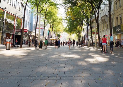 Tradition trifft Moderne: Pflastererhandwerk als
immaterielles Kulturerbe ausgezeichnet