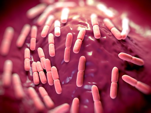 Internationale Kohortenstudie belegt
österreichisches Probiotika-Erfolgskonzept.