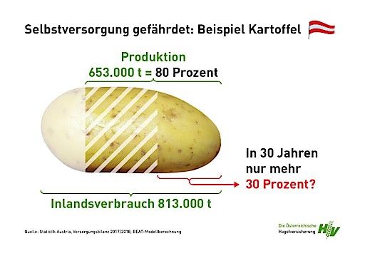 Vorschau Bild von Selbstversorgung gefährdet: Beispiel Kartoffel