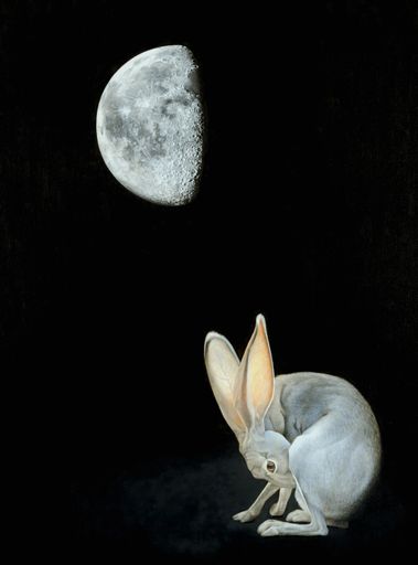 Dona Jalufka_Gibbous Moon Hare , Öl auf Leinwand,
60 x 80 cm