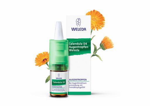 Neu in der Apotheke: Calendula D4 Augentropfen von Weleda bei
Bindehautentzündung mit Sekret. Weiterer Text über ots und
www.presseportal.de/nr/25239 / Die Verwendung dieses Bildes ist für
redaktionelle Zwecke honorarfrei. Veröffentlichung bitte unter
Quellenangabe: "obs/Weleda AG"