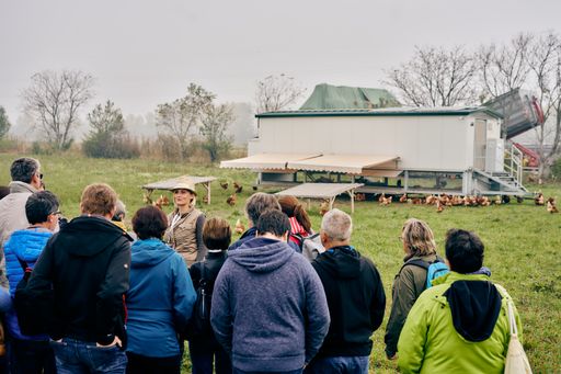 Vorschau Bild von Bei den Rundgängen ging es über das gesamte
Gelände, vorbei beim mobilen Hühnerstall, den Bio-Angusrindern und
vielem mehr.