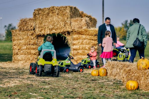 Vorschau Bild von Auf die ganz jungen Besucher (ca. 500 Kinder)
wartete neben einer Tret-Traktorbahn auch eine XL-Bausteinwelt, eine
Hüpfburg in Form eines Traktors mit Rutsche und eine Zeichenecke mit
Malbüchern von Bio Austria.