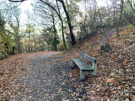  Wanderung am Kahlenberg