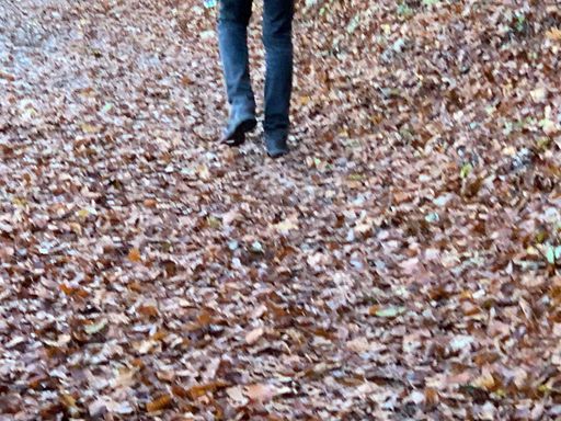 Vorschau Bild von Wanderung am Kahlenberg
