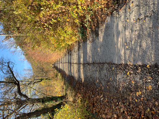 Vorschau Bild von Wanderung am Kahlenberg