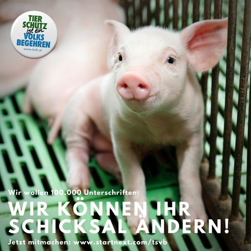 Sujet Crowdfunding-Kampagne "Wir wollen 100.000
Unterschriften!" des Tierschutzvolksbegehren.