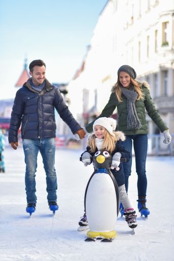 Vorschau Bild von Echteisfläche mit Eistockbahnen & Eislaufläche