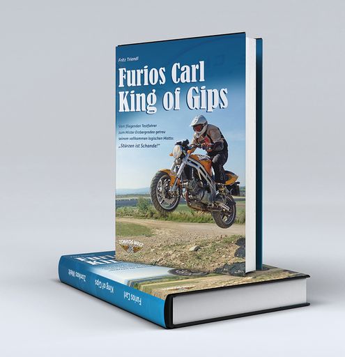 Vorschau Bild von "Furios Carl - King of Gips", das Buch als
Weihnachtsgeschenk