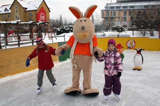 Vorschau Bild von Die diesjährige Eislaufsaison im Skatingpark in
Lutzmannsburg startet ab 20.12.2019.