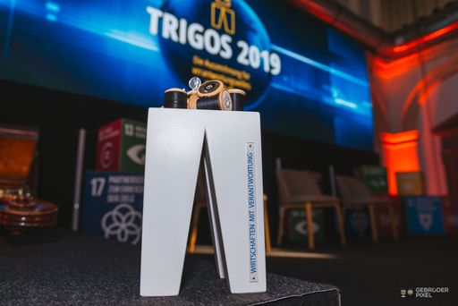 Vorschau Bild von Eine der TRIGOS-Trophäen von 2019 - gestaltet von
gabarage upcycling design.