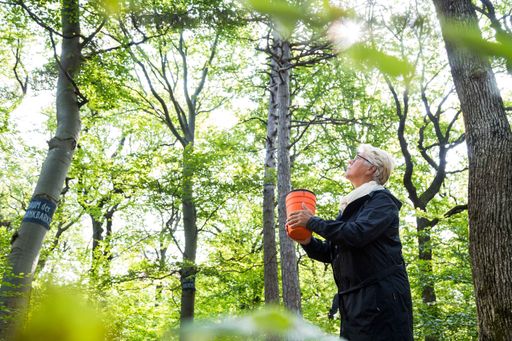  Die Naturbestattung Zadrobilek ist längst nicht
mehr nur in den eigenen „Wäldern der Ewigkeit“, auf der Donau und
auf dem Meer höchst aktiv, sondern zunehmend auch auf anderen
naturnahen Bestattungsanlagen, auf Friedhöfen und in
Aufbahrungshallen und Kirchen. Sie bietet einen Service, der alles
umfasst, von der Abholung, der Beratung, bis zur Durchführung der
Behördenwege, der Abschiedsfeiern und der Bestattung, wo immer diese
stattfindet. Kunden brauchen im Todesfall nur eine Nummer zu wählen:
Tel. 02236 / 44900 (rund um die Uhr).