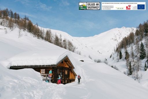  Ob auf den Pisten, beim Schlittenfahren oder mit
den Tourenski in verschneiter Landschaft - die Zeit im Schnee kommt
bei Urlaub am Bauernhof Tirol nicht zu kurz (Credit: Tirol Werbung /
Herbig Hans)