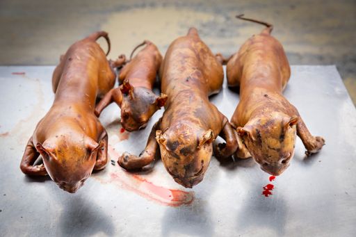 Vorschau Bild von Geschlachtete Tiere