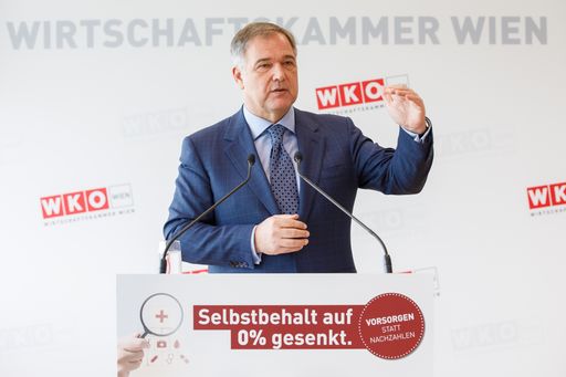 Wirtschaftskammer Wien-Präsident Walter Ruck