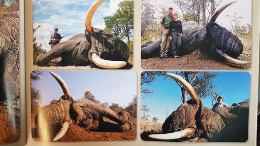 Vorschau Bild von Der Österreichische Tierschutzverein war vor Ort
auf der Jagdmesse, um sich ein selbst ein Bild zu machen.