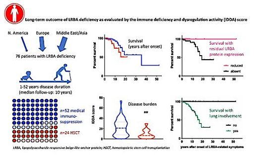 Vorschau Bild von Graphischer Abstract