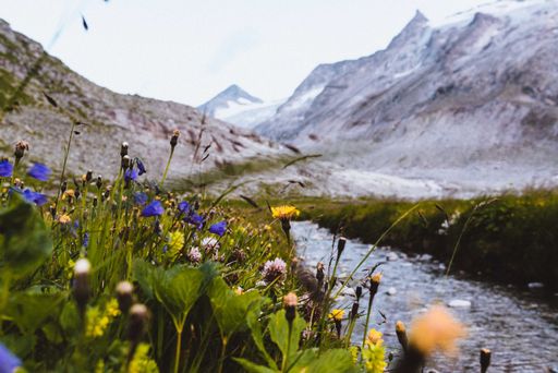 Vorschau Bild von Wildnisgebiet Sulzbachtäler im Nationalpark Hohe
Tauern