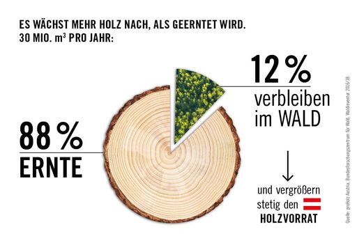 GRAPHIK: Es wächst mehr Holz nach, als geerntet
wird.