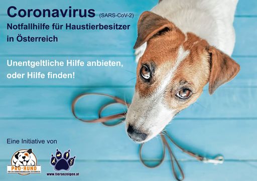  Hilfe bei der Betreuung Ihres Haustieres durch Freiwillige