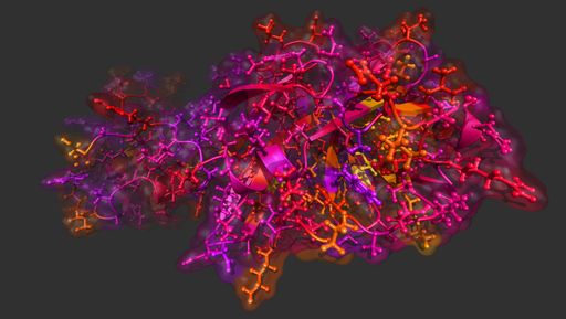 Homologiemodell der main protease des SARS-CoV-2