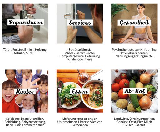 Vorschau Bild von Abbildung einiger von insgesamt 15 Kategorien, in
denen sich Unternehmen registrieren und ihr direktes Umfeld in einem
Radius von bis zu max. 50 km beliefern können.