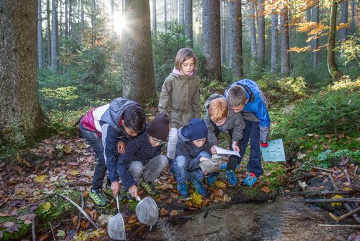 Kinder forschen und werkeln im Wald