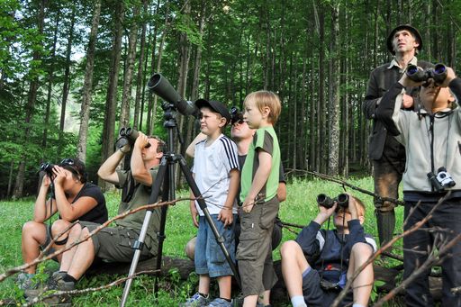 Vorschau Bild von Wildtiere erleben