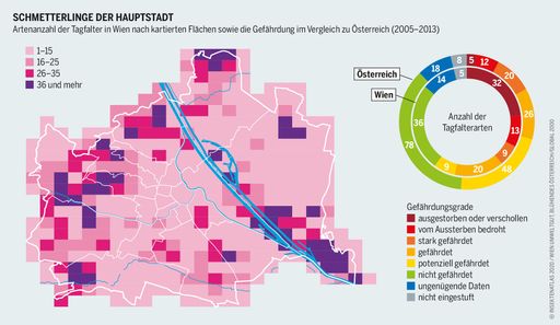 Vorschau Bild von Neue Publikation: Österreichischer Insektenatlas
2020 rüttelt auf